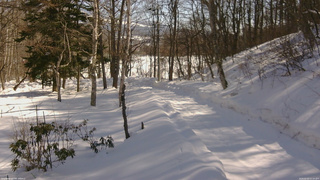 長野県菅平高原 ゆたか山荘 駐車場奥 2026/02/15 11:15