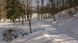 長野県菅平高原 ゆたか山荘 駐車場奥 2026/02/15 12:30
