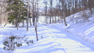 長野県菅平高原 ゆたか山荘 駐車場奥 2026/02/15 13:00
