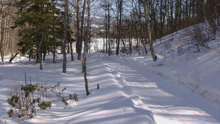 長野県菅平高原 ゆたか山荘 駐車場奥 2026/02/15 13:30