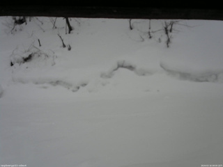 長野県菅平高原 ゆたか山荘 東側(坂下) 2026/02/16 08:00