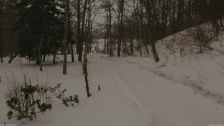 長野県菅平高原 ゆたか山荘 駐車場奥 2026/02/16 08:00