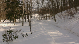 長野県菅平高原 ゆたか山荘 駐車場奥 2026/02/16 12:00