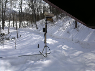 長野県菅平高原 ゆたか山荘 南側 2026/02/17 10:30
