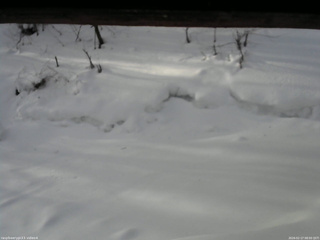 長野県菅平高原 ゆたか山荘 東側(坂下) 2026/02/17 08:00