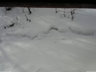 長野県菅平高原 ゆたか山荘 東側(坂下) 2026/02/17 09:30