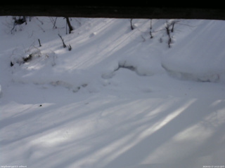 長野県菅平高原 ゆたか山荘 東側(坂下) 2026/02/17 14:15