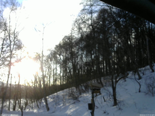 長野県菅平高原 ゆたか山荘 温度計 2026/02/17 07:15