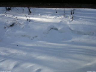 長野県菅平高原 ゆたか山荘 東側(坂下) 2026/02/18 08:00