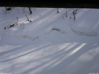 長野県菅平高原 ゆたか山荘 東側(坂下) 2026/02/18 14:15