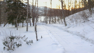 長野県菅平高原 ゆたか山荘 駐車場奥 2026/02/18 06:30