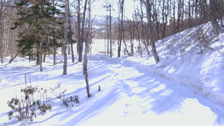 長野県菅平高原 ゆたか山荘 駐車場奥 2026/02/18 09:00