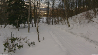 長野県菅平高原 ゆたか山荘 駐車場奥 2026/02/18 16:15