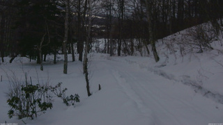 長野県菅平高原 ゆたか山荘 駐車場奥 2026/02/18 17:15
