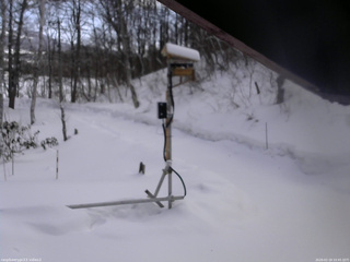 長野県菅平高原 ゆたか山荘 南側 2026/02/19 10:45