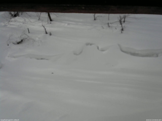 長野県菅平高原 ゆたか山荘 東側(坂下) 2026/02/19 08:00