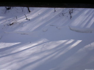 長野県菅平高原 ゆたか山荘 東側(坂下) 2026/02/19 14:15