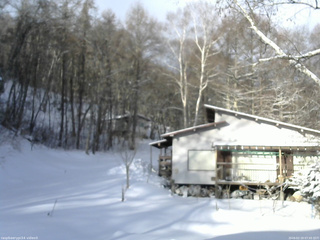 長野県菅平高原 ゆたか山荘 西側(坂上) 2026/02/19 07:45