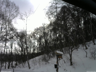 長野県菅平高原 ゆたか山荘 温度計 2026/02/19 08:15