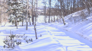 長野県菅平高原 ゆたか山荘 駐車場奥 2026/02/19 13:00