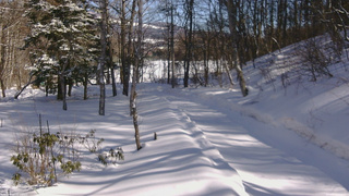 長野県菅平高原 ゆたか山荘 駐車場奥 2026/02/19 13:45