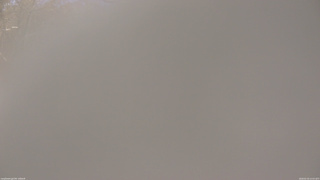 長野県菅平高原 ゆたか山荘 坂下 2026/02/19 12:00