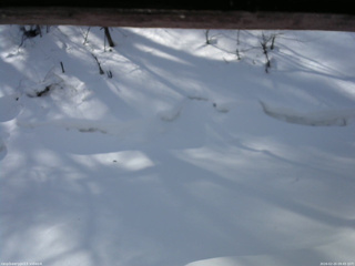 長野県菅平高原 ゆたか山荘 東側(坂下) 2026/02/20 09:45