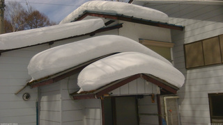 長野県菅平高原 ゆたか山荘 ゆたか山荘 2026/02/20 11:30