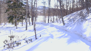 長野県菅平高原 ゆたか山荘 駐車場奥 2026/02/20 09:00