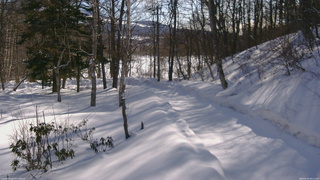 長野県菅平高原 ゆたか山荘 駐車場奥 2026/02/20 09:15