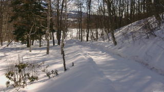 長野県菅平高原 ゆたか山荘 駐車場奥 2026/02/20 09:45