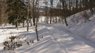 長野県菅平高原 ゆたか山荘 駐車場奥 2026/02/20 10:30