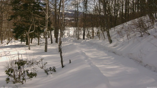 長野県菅平高原 ゆたか山荘 駐車場奥 2026/02/20 11:00