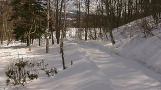 長野県菅平高原 ゆたか山荘 駐車場奥 2026/02/20 11:15