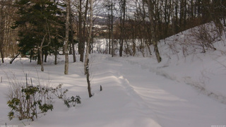 長野県菅平高原 ゆたか山荘 駐車場奥 2026/02/20 14:15