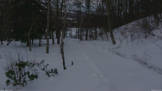 長野県菅平高原 ゆたか山荘 駐車場奥 2026/02/20 17:15