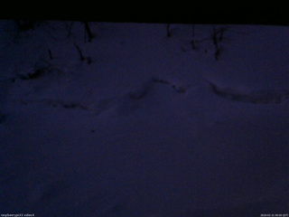 長野県菅平高原 ゆたか山荘 東側(坂下) 2026/02/21 06:00