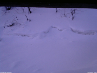 長野県菅平高原 ゆたか山荘 東側(坂下) 2026/02/21 06:15