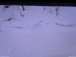 長野県菅平高原 ゆたか山荘 東側(坂下) 2026/02/21 06:30