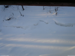 長野県菅平高原 ゆたか山荘 東側(坂下) 2026/02/21 06:45