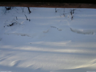 長野県菅平高原 ゆたか山荘 東側(坂下) 2026/02/21 07:00