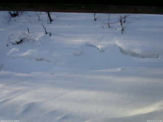 長野県菅平高原 ゆたか山荘 東側(坂下) 2026/02/21 07:15