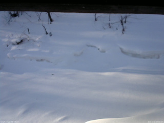 長野県菅平高原 ゆたか山荘 東側(坂下) 2026/02/21 07:30