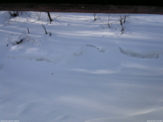 長野県菅平高原 ゆたか山荘 東側(坂下) 2026/02/21 07:45