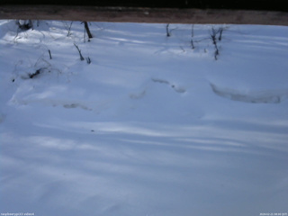 長野県菅平高原 ゆたか山荘 東側(坂下) 2026/02/21 08:00