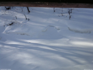 長野県菅平高原 ゆたか山荘 東側(坂下) 2026/02/21 08:15