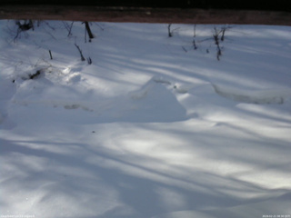 長野県菅平高原 ゆたか山荘 東側(坂下) 2026/02/21 08:30