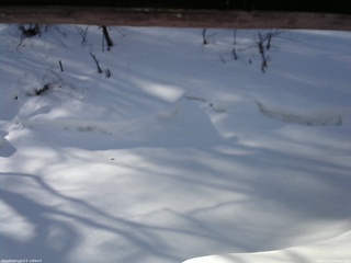 長野県菅平高原 ゆたか山荘 東側(坂下) 2026/02/21 08:45