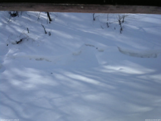 長野県菅平高原 ゆたか山荘 東側(坂下) 2026/02/21 09:00