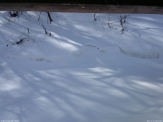 長野県菅平高原 ゆたか山荘 東側(坂下) 2026/02/21 09:15